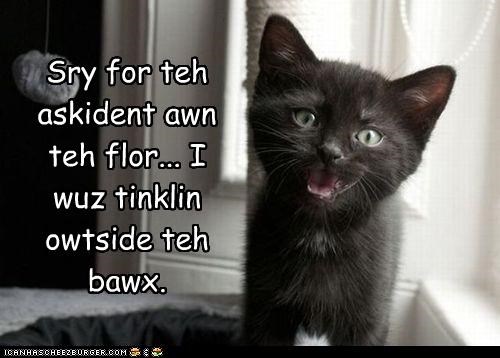 Sry for teh askident awn teh flor... I wuz tinklin owtside teh bawx.