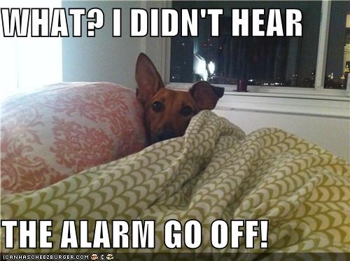 WHAT? I DIDN'T HEAR  THE ALARM GO OFF!