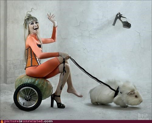 This Woman Has Got It Going On