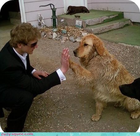 High five!