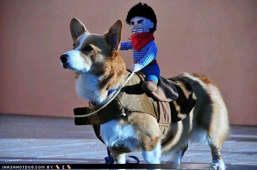 Ride 'Em, Cowboy!