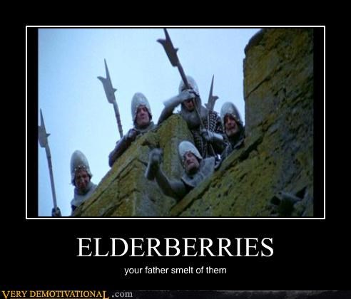 ELDERBERRIES