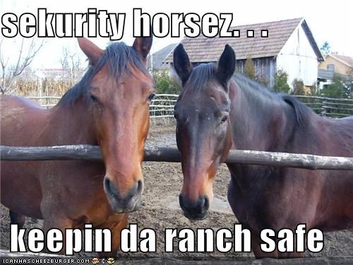 sekurity horsez. . .  keepin da ranch safe