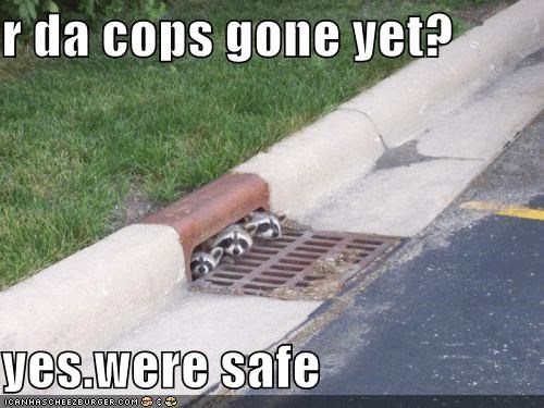 r da cops gone yet?  yes.were safe