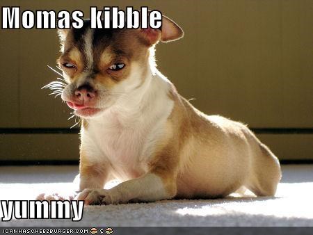 Momas kibble  yummy