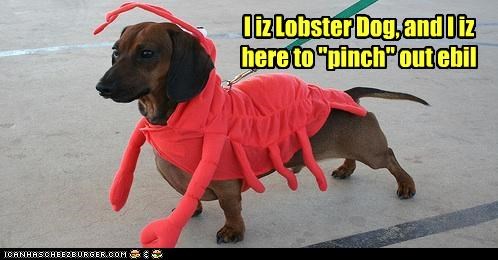 I iz Lobster Dog, and I iz here to "pinch" out ebil
