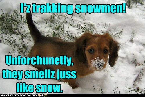 I'z trakking snowmen!