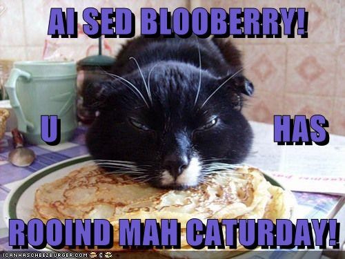AI SED BLOOBERRY!       U                                 HAS                          ROOIND MAH CATURDAY!