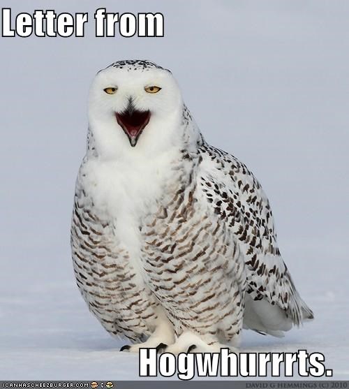 Letter from  Hogwhurrrts.