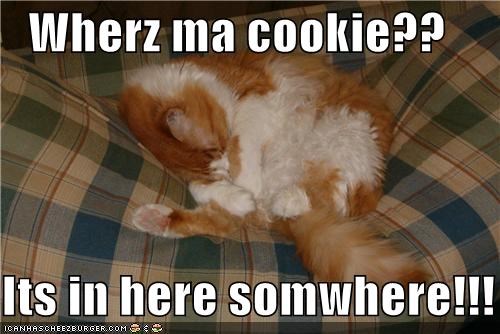 Wherz ma cookie??  Its in here somwhere!!!
