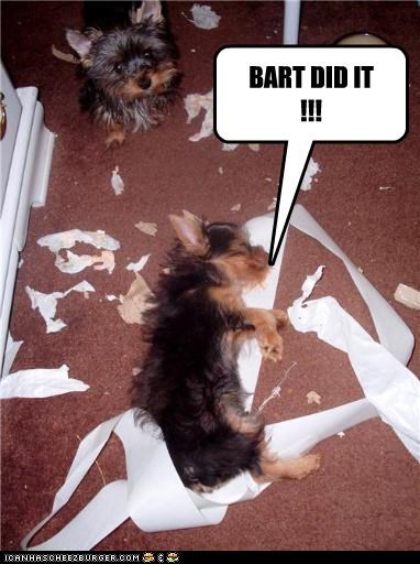BART DID IT !!!