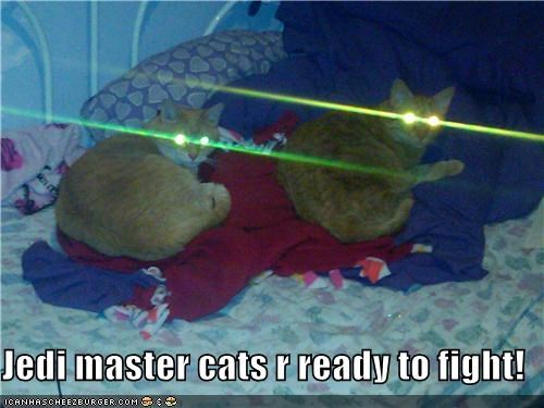 Jedi master cats r ready to fight!