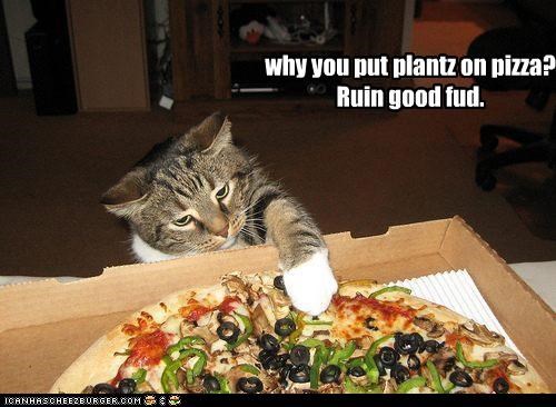 why you put plantz on pizza? Ruin good fud.