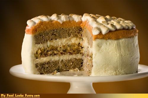 Funny Food Photos - Thanksgiving Dinner Cake