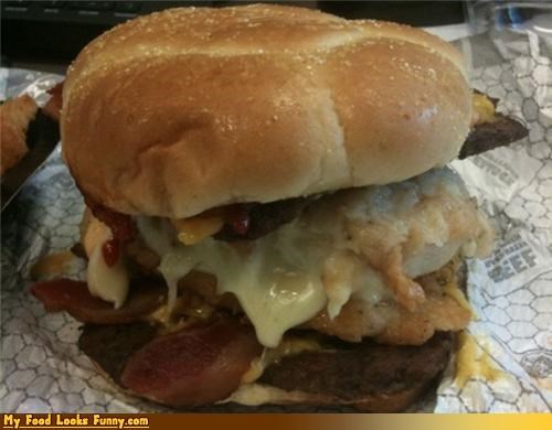 Funny Food Photos - Double Down Baconnator