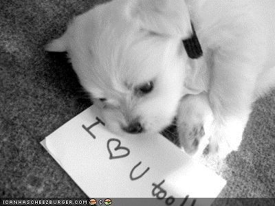 Cyoot Puppeh ob teh Day: I <3 U too!!