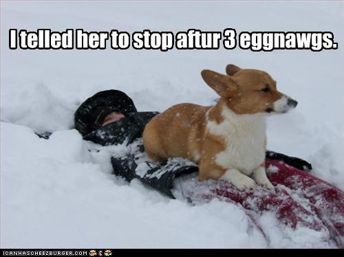 I telled her to stop aftur 3 eggnawgs.