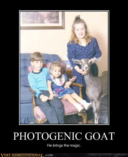 PHOTOGENIC GOAT
