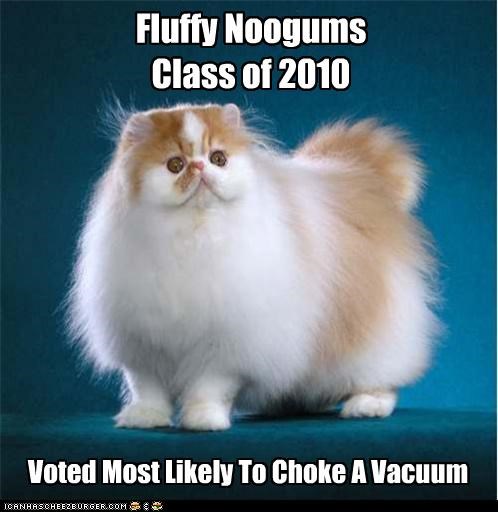 Fluffy Noogums Class of 2010