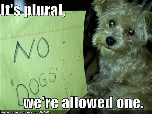 It's plural,  we're allowed one.