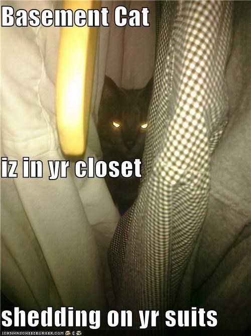 Basement Cat iz in yr closet shedding on yr suits