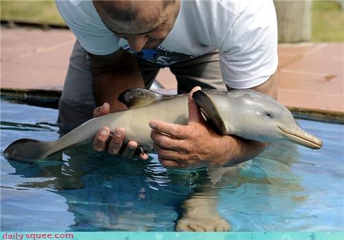 Orphaned Baby Dolphin Finds New Home