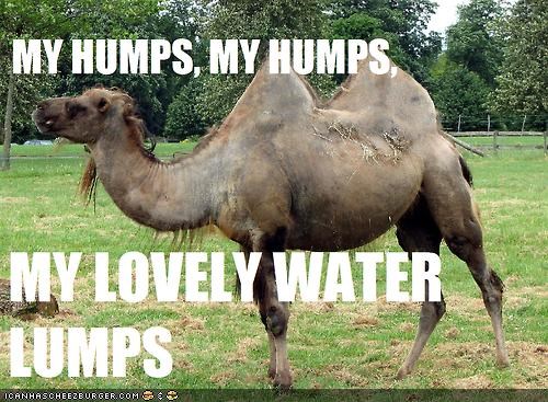 Watcha Gon Do Wiff All Dose Humpz?!