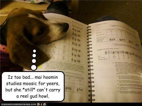 Wanted: moosic teacher.