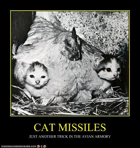 CAT MISSILES