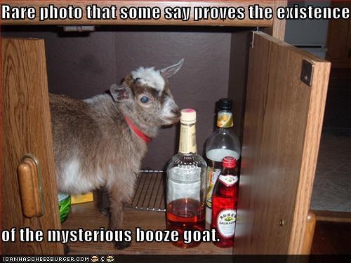 Rare photo that some say proves the existence  of the mysterious booze goat.