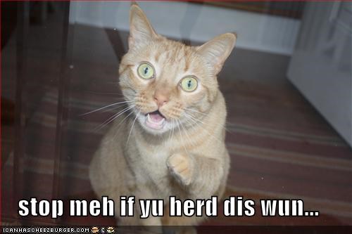 stop meh if yu herd dis wun...