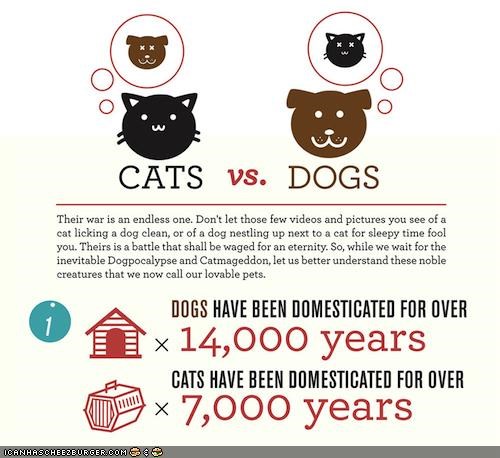 Cats vs. Dogs: An Infographic
