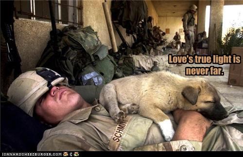 Love's true light is never far.
