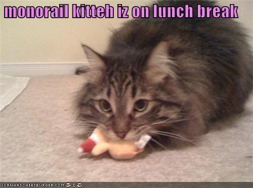 monorail kitteh iz on lunch break