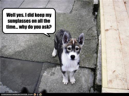 Well yes. I did keep my sunglasses on all the time... why do you ask?