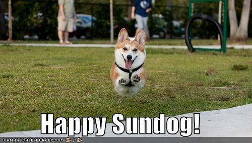 Happy Sundog!