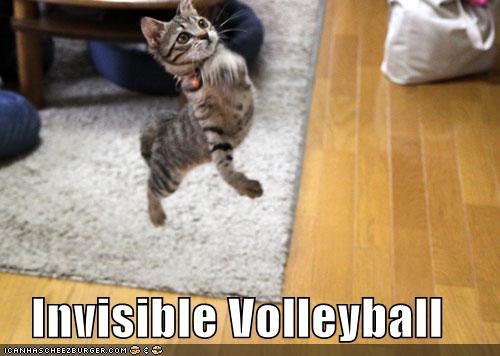 Invisible Volleyball