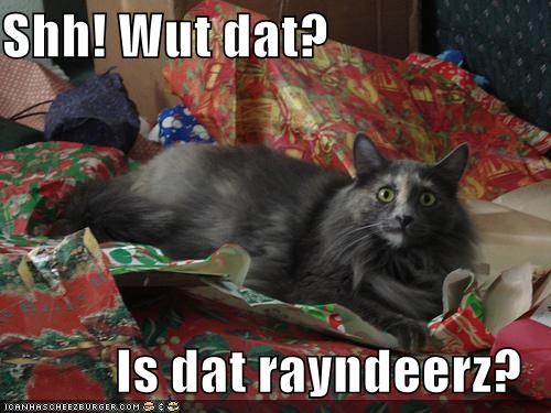Shh! Wut dat?  Is dat rayndeerz?