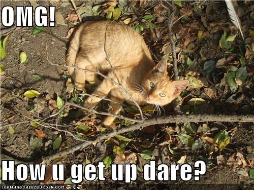 OMG!  How u get up dare?