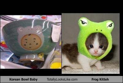 Korean Bowl Baby Totally Looks Like Frog Kitteh