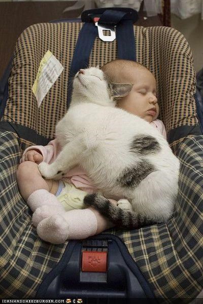 Cyoot Kitteh n Bebe of teh Day: Iz His Faeborit Blanket