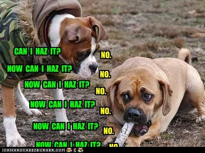 CAN I HAZ IT?