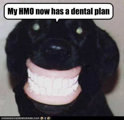 My HMO now has a dental plan