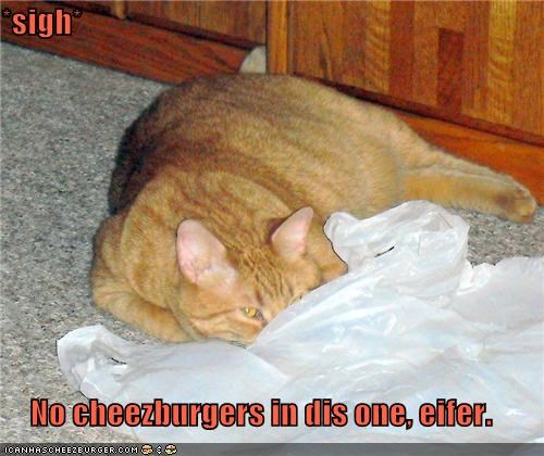 *sigh*  No cheezburgers in dis one, eifer.
