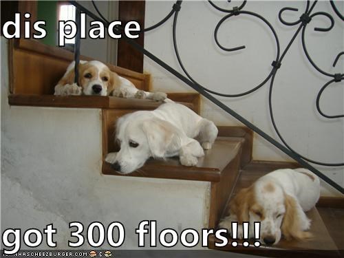 dis place   got 300 floors!!!
