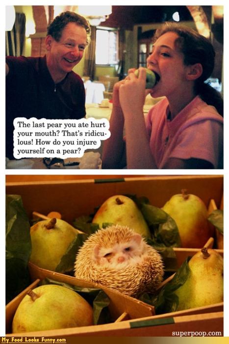 Funny Food Photos - Hedgehog Pear