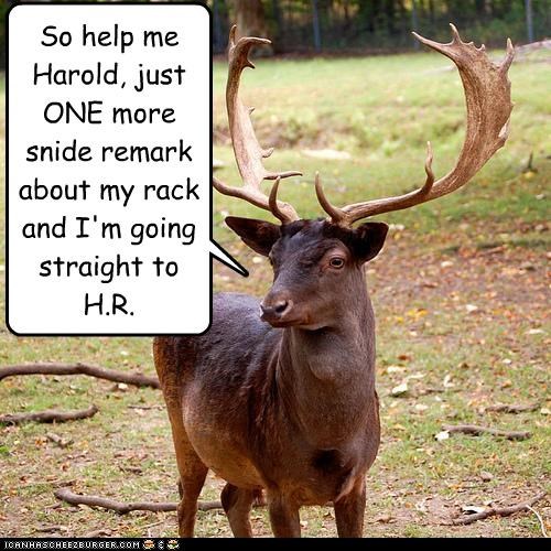 So help me Harold, just ONE more snide remark about my rack and I'm going straight to H.R.