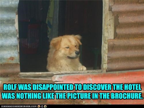 ROLF WAS DISAPPOINTED TO DISCOVER THE HOTEL WAS NOTHING LIKE THE PICTURE IN THE BROCHURE.
