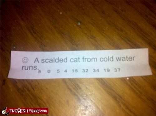 Fortune Cookie Friday - That's Deep, Man