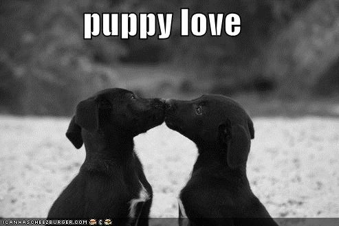puppy love